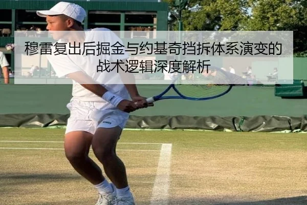 穆雷复出后掘金与约基奇挡拆体系演变的战术逻辑深度解析